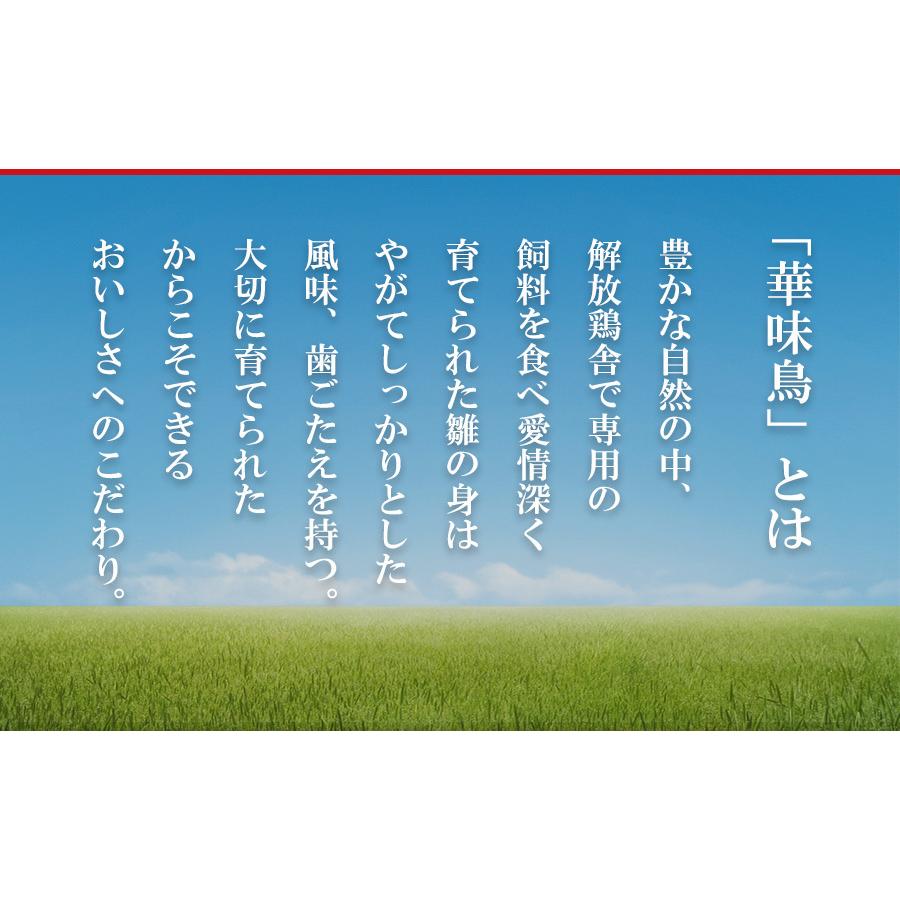 博多華味鳥監修 ささみ入り 手羽元入り 中辛 レトルトカレー2種計6食セット 水炊き料亭 常温保存