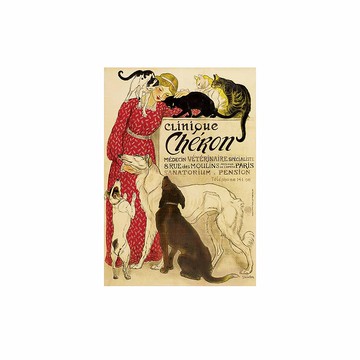 義大利 IFI 明信片 動物醫院