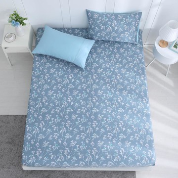 單人床包枕套組/美國棉授權品牌 300織/ 汀絲娜 [鴻宇] 台灣製 - 2361