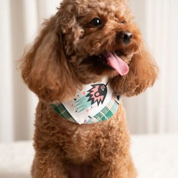 【尾巴丘 Tailshill】怪獸電力公司領巾 L號 星際怪獸 Q版人物 雙層領巾 手工原創 寵物領巾 可愛動物 貓狗適用 寵物領巾 台灣老師傅純手工