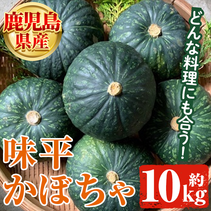 ＜先行予約受付中！2024年5月より順次発送＞鹿児島県産 味平かぼちゃ(約10kg) 国産 野菜 かぼちゃ カボチャ 南瓜 煮物 天ぷら バーベキュー BBQ スイーツ お菓子33-8