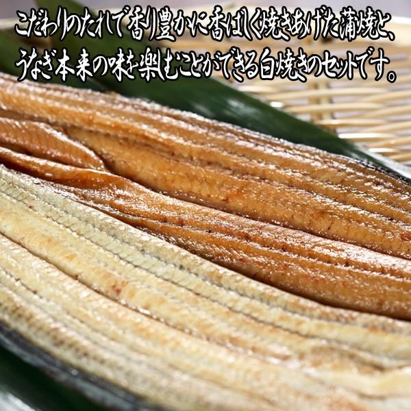 浜松・浜名湖うなぎ蒲焼 白焼2人前長焼き(ウナギ,鰻,産地直送うなぎ,鰻長焼き,ギフトグルメ,お歳暮,お中元,)