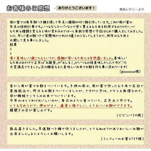 新米 新潟県産 白米 こがねもち米 5kg 令和5年産