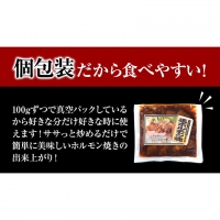 馬ホルモン焼 10個セット 10人前 (100g×10個)《60日以内に順次出荷(土日祝除く)》 熊本県 御船町 ホルモン ホルモン焼き 馬ホルモン 馬 馬肉 タレ たれ千興ファーム 送料無料