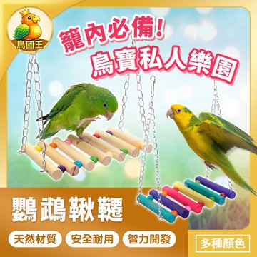 【鳥國王】鳥用鞦韆玩具 鳥籠懸掛鞦韆 鸚鵡鞦韆玩具 鳥籠布景玩具 鳥類互動玩具 站立活動鞦韆 鳥籠配件 鸚鵡用品 鳥用品