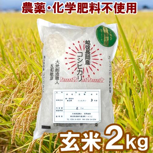 無農薬・化学肥料不使用　玄米 2kg　大地創造職人