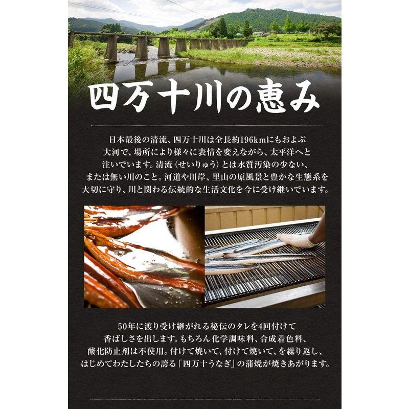 四万十 うなぎ 国産 蒲焼き 特大 200g×2尾 セット ギフト