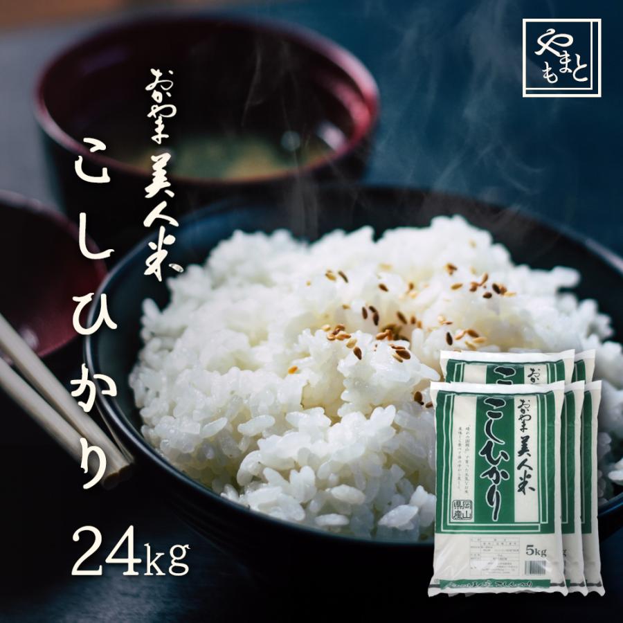 お米 新米 令和5年 岡山県産こしひかり 24kg (5kg×4袋、4kg×1袋) コシヒカリ 一等米 送料無料 安い