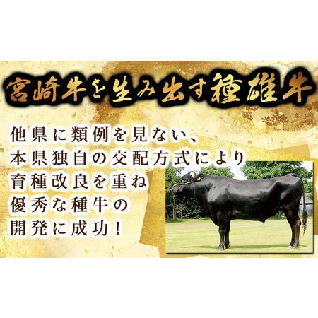 ふるさと納税 KU426 宮崎牛 モモ焼肉 計800g（400ｇ×2） 宮崎県串間市