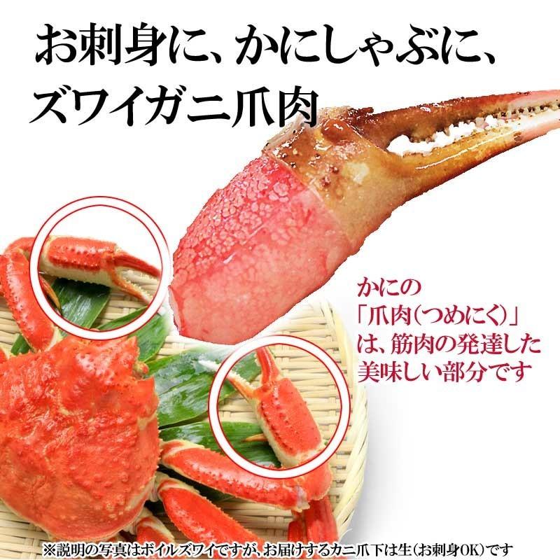 カニ かに 蟹 グルメ カニ爪 生食Ok ズワイガニ 爪肉 約1kg (500g ×2個) 刺身用 送料無料