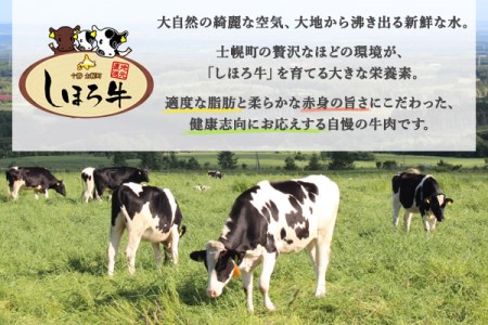 北海道 しほろ牛 ゴロッケ 5個×2袋 10個入 コロッケ GOROKKE 挽き肉 ひき肉 じゃがいも 牛 赤身肉 国産牛 肉 ジャガイモ ビーフ セット 国産 おかず お弁当 冷凍 詰合せ お取り寄せ 十勝 士幌町