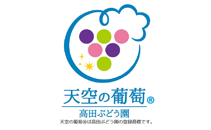 ぶどう 天空の葡萄(登録商標) ニュー ピオーネ 1.6kg以上 400g ４パック 1箱 美味しい笑顔をお約束 葡萄 フルーツ 岡山 高梁市産 2024年 先行予約