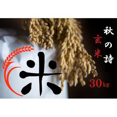 ふるさと納税 竜王町 令和5年産 秋の詩玄米 30kg