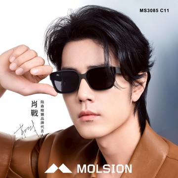 MOLSION 偏光太陽眼鏡 MS3085 C11 時尚窄方框 肖戰配戴款 - 金橘眼鏡