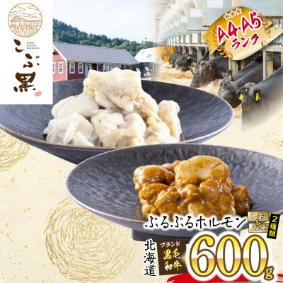 ふるさと納税 新ひだか町 北海道産 黒毛和牛 こぶ黒 しおみそホルモン 計600g(各300g)