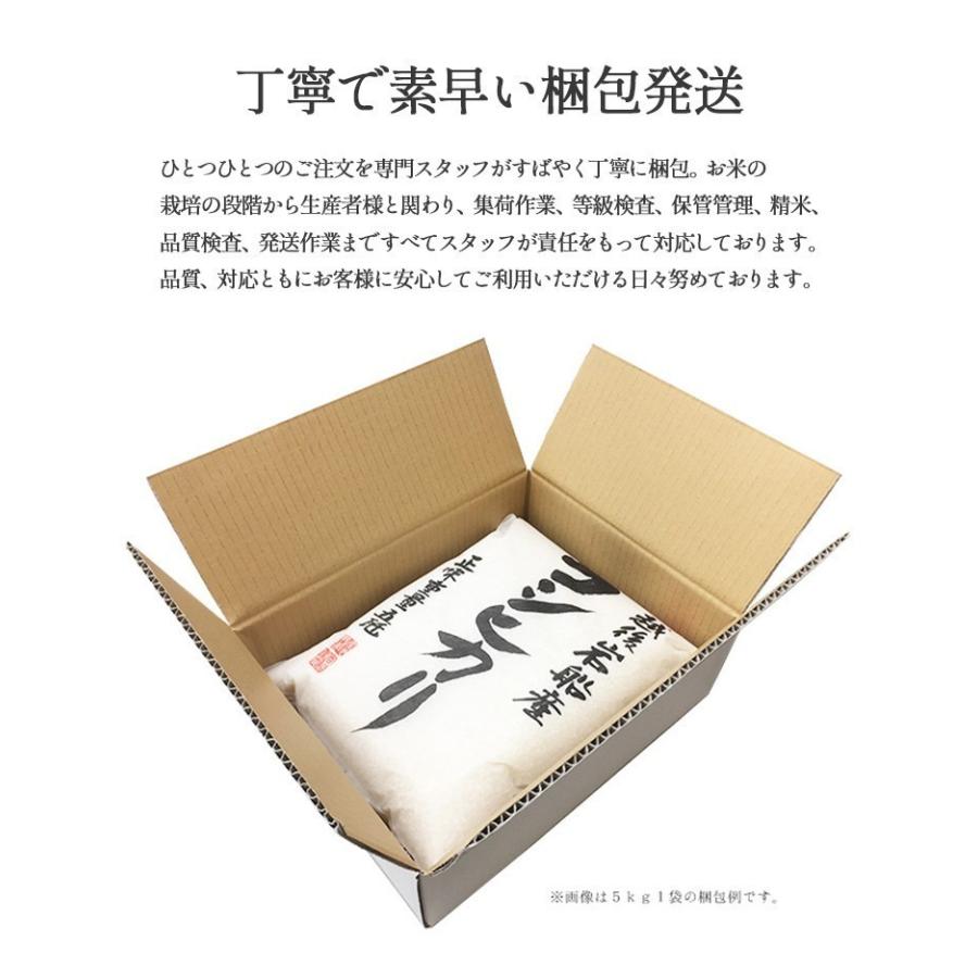 お米 15kg 白米 送料無料 新米 令和5年産 新潟県 岩船産 コシヒカリ 産地直送 米 国産 国内産 15キロ ブランド米 ギフト 父の日 母の日 敬老の日