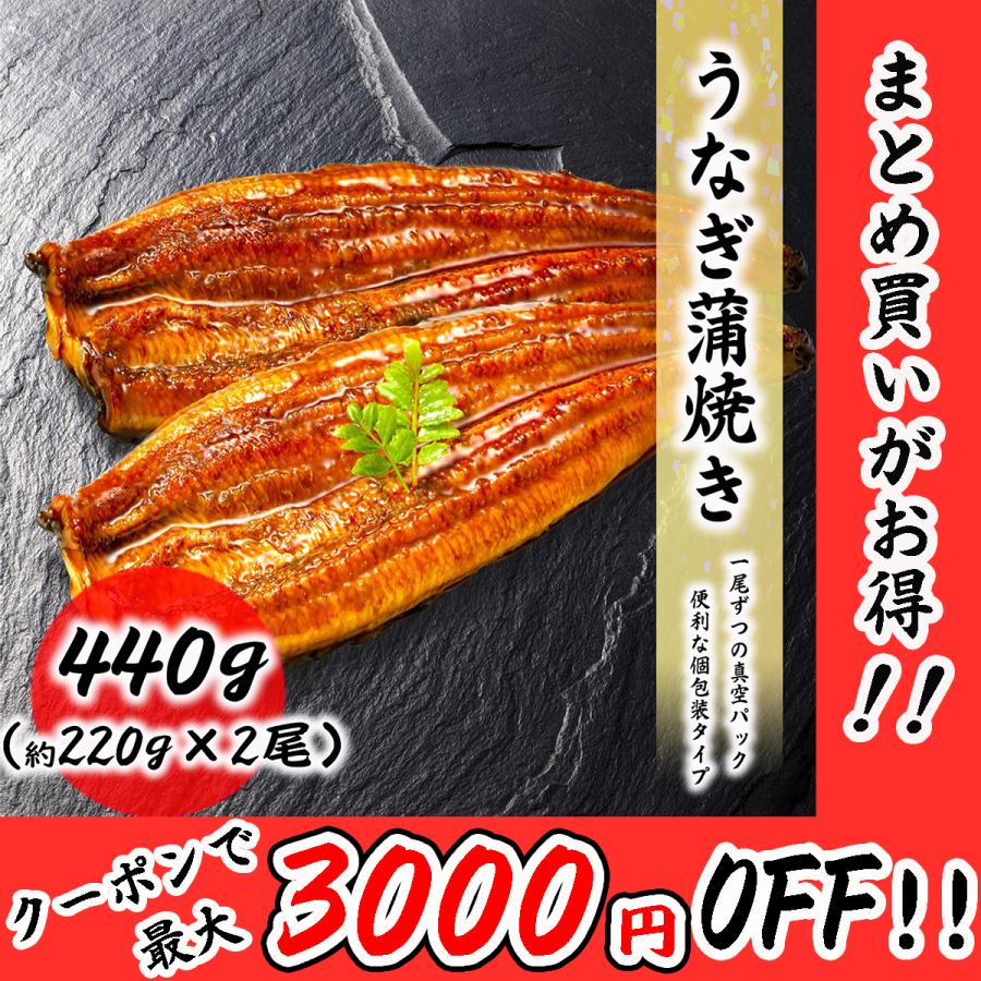 うなぎ蒲焼 2尾セット（約440g） 約220g 1尾 料理店でも使われる一品 真空処理済み お取り寄せ 食品 冷凍便 プロ愛用 業務用