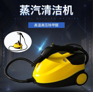 店長推薦110V高溫蒸汽清潔機熏蒸機高壓清洗機清潔蒸汽機家用廚房汽車衣改色蒸汽機