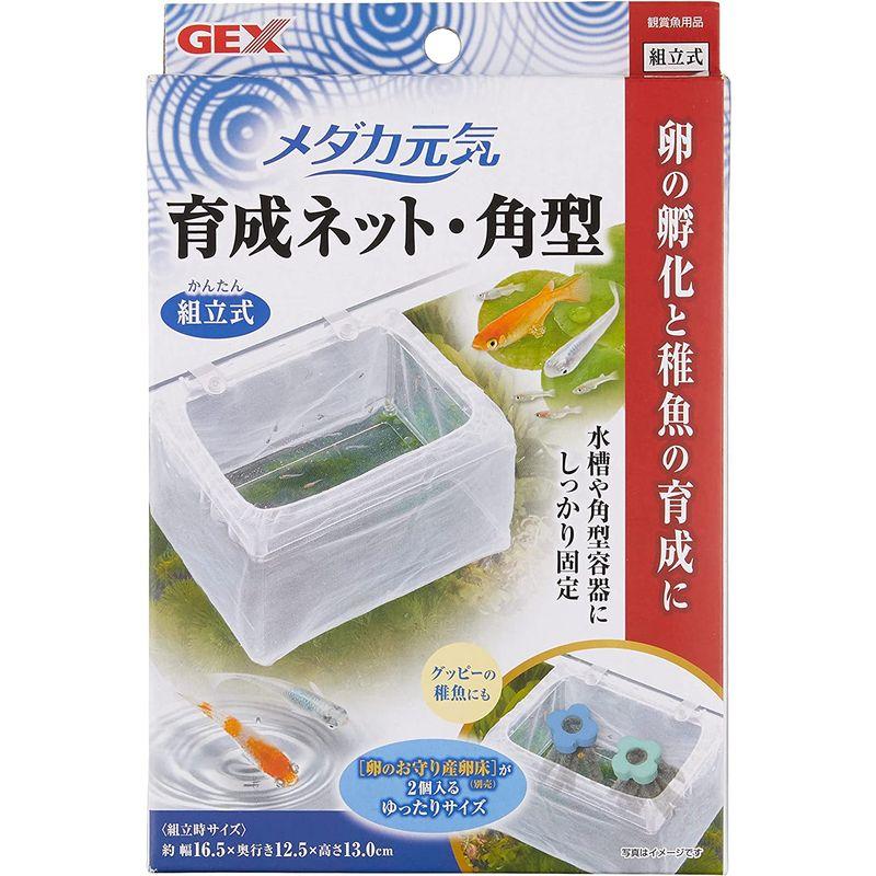 ＧＥＸ メダカ元気 育てるお守りケース ５個入り 稚魚 隔離ケース １５