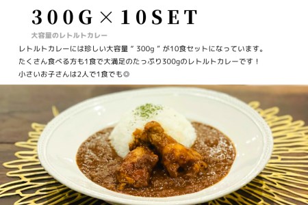 大容量300gのレトルトカレー10食セット！ホロホロの大きな手羽元が2本も入って食べ応え抜群！