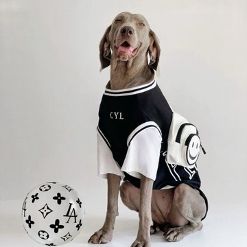 【臺灣出貨】狗狗衣服大型犬夏季寵物帥氣巨貴杜賓假兩件金毛拉布拉多衣服薄款03Rv