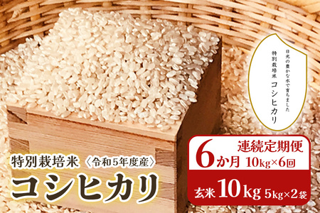 [6か月連続定期便(10kg×6回)] 令和5年度産 特別栽培米 コシヒカリ 玄米10kg(5kg×2袋)｜数量限定 お米 国産 日光産 産地直送 [0321]