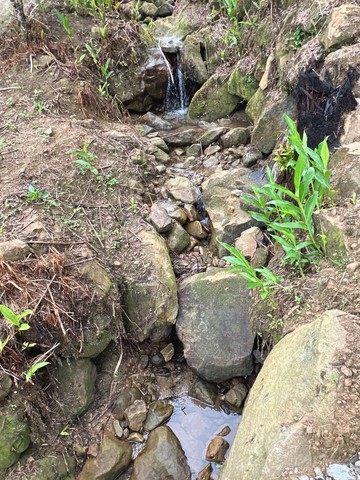 竹東秘境平坦休閒臨溪農地｜新竹縣竹東鎮竹東段竹東小段