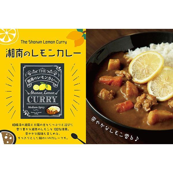 湘南のレモンカレー　 レトルトカレー 中辛200g×2箱(湘南カレー×2) レトルト　湘南　レモン　送料無料