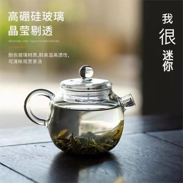玻璃小壺小巨輪家用養生泡茶壺耐熱玻璃帶蓋壺花茶綠茶壺中式精致