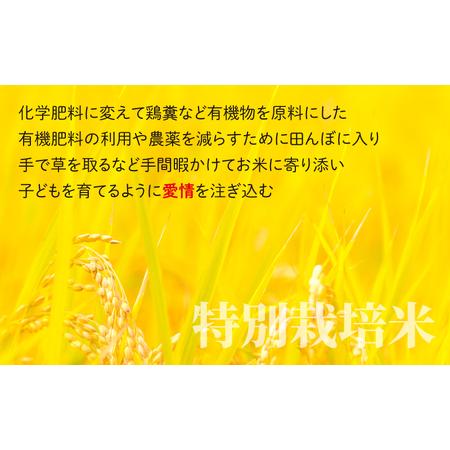 ふるさと納税 地球にやさしいパックご飯 10食入り× 3回　計30食　減農薬・減化学肥料 「特別栽培米」−地球にやさ.. 福井県大野市