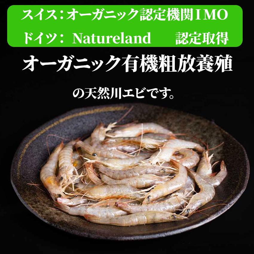 川エビ Lサイズ 1kg 500g×2P カワエビ 川海老 かわえび 海老 お酒 ビール おつまみ 揚げ物 6000995099