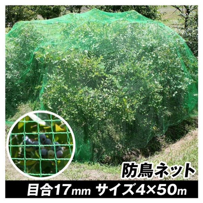 防鳥ネット 丈夫な防鳥ネット（4m×50m）1巻 目合17mm グリーン 網 防鳥