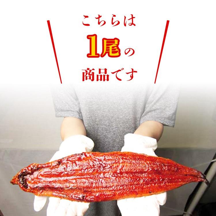 うなぎ 業務用 ばら売り 特大うなぎ 蒲焼 1尾 1本 220g タレ付き ウナギ 鰻 送料無料 食品 お歳暮 ギフト うな飯 10%クーポン