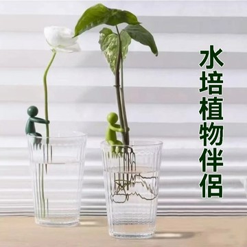 新款水培植物生長伴侶 水培器皿扶正扶枝 水培伴侶 水培植物扶正器 桌麵裝飾 固定造型 扶枝工具