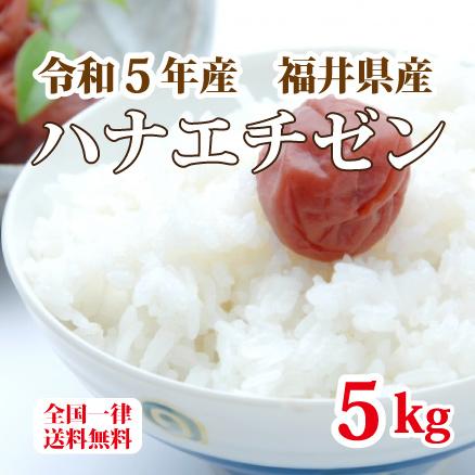 令和５年産 福井県産ハナエチゼン 5kg 白米 安い ブランド米 単一原料米 送料無料