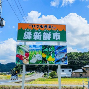 野菜 詰め合わせ セット 6～8種 緑新鮮市 キャベツ 人参 にんじん きゅうり じゃがいも なす ほうれん草 小松菜 ピーマン かぼちゃ 白菜 大根 さつまいも 玉ねぎ たまねぎ ブロッコリー トマト オクラ レモン ネギ  生姜 栗 愛媛県 愛南町