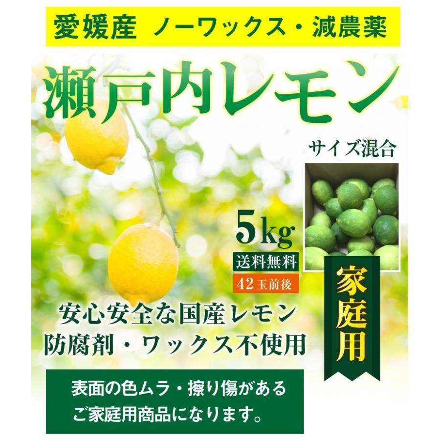 レモン 国産 愛媛 瀬戸内レモンご家庭用 ５kg(42玉前後) 産地直送 ノーワックス・減農薬 J常