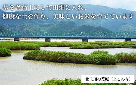 令和5年産＜定期便＞ヨシ腐葉土米 精米20kg（4kg×5回発送）ひとめぼれ