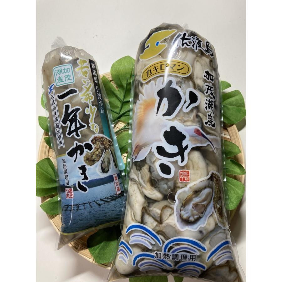 佐渡加茂湖産カキ 500g（約25〜30粒）入り