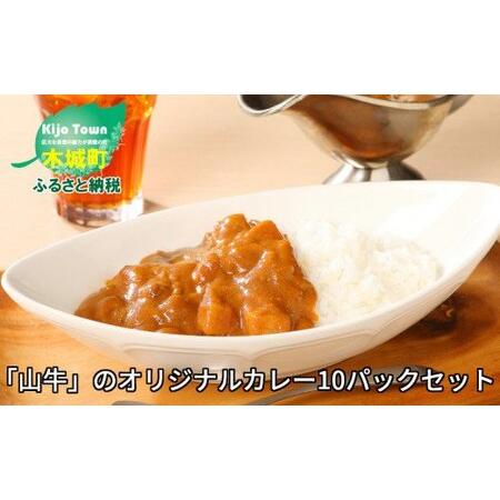 ふるさと納税 ＜「山牛」のオリジナルカレー10パックセット＞ K16_0012_1 宮崎県木城町