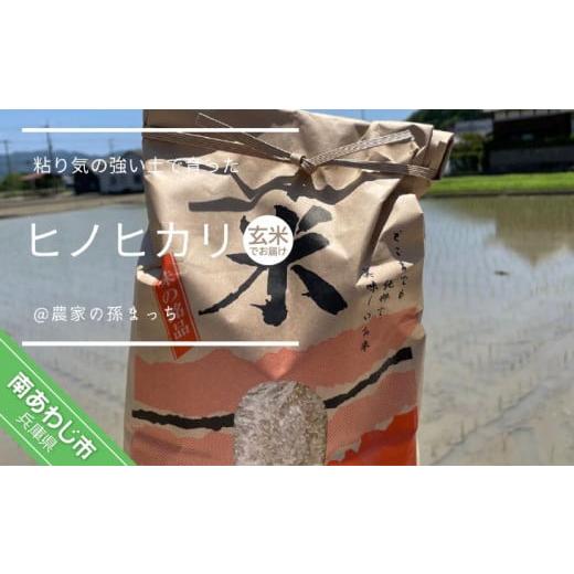 ふるさと納税 兵庫県 南あわじ市 南あわじ市産 ヒノヒカリ20kg