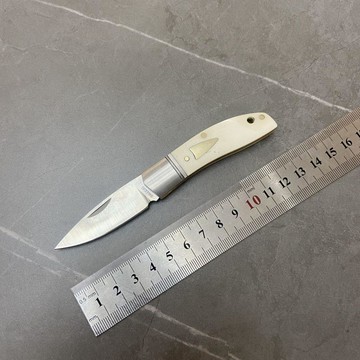 【原野】託德貝格口袋刀牛骨14c28n正品可摺疊摺疊式戶外水果刀快遞刀