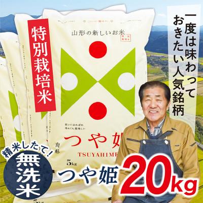 ふるさと納税 最上町 令和5年産山形県産特別栽培米つや姫20kg