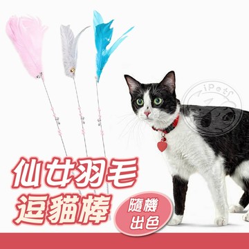 【小狐狸寵物】仙女羽毛逗貓棒 逗貓玩具 逗貓神器 貓玩具 寵物玩具 貓咪玩具 寵物逗貓棒 寵物用品 貓用品 羽毛逗貓棒