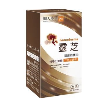 [順天本草] 靈芝子實體膠囊 60顆/盒