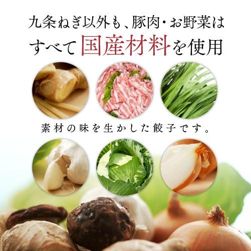 餃子 取り寄せ 送料無料 業務用 冷凍 生餃子 国産素材 時短 お手軽 簡単 大容量 餃子計画 九条ねぎ餃子 300個(20ｇ×50個×6袋)