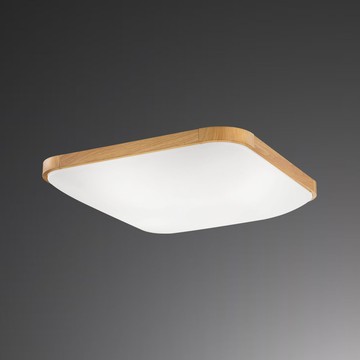 E27 壓克力吸頂四燈 B209-050011