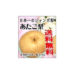 あたご梨 3個〜5個 (4ｋｇ以上) 愛宕梨