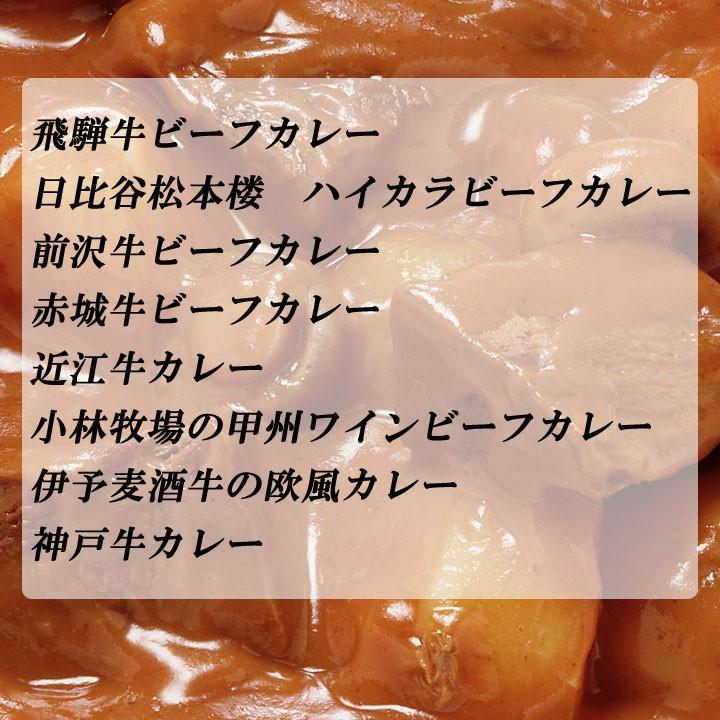 ビーフカレーセット8種  ご当地カレーギフト レトルトカレー詰合せ ギフト お歳暮