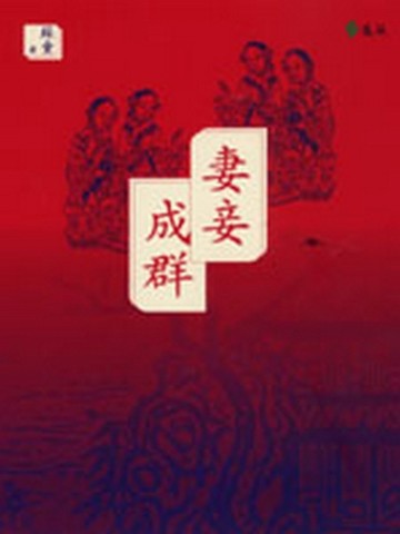 妻妾成群[二手書_全新]